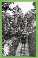 Cedrim Do Vouga - Caminho De Ferro - Locomotiva - Trem - Railway - Train - Chemin De Fer. Aveiro. Portugal (Fotográfico) - Aveiro