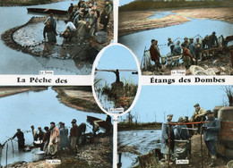 LA PECHE DES ETANGS DES DOMBES - Non Classificati