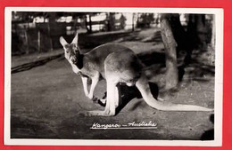 AUSTRALIA     KANGAROO    MOWBRAY SERIES RP - Outback