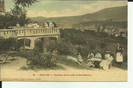 88 - Vosges - Saint Dié - Terrasse De La Laiterie Saint Martin - Animée - Femmes Au Chapeau-Toilée Couleurs - Réf.hjk . - Saint Die