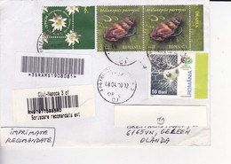 ROMANIA  --  LOT  --  4 X BRIEFE  + 1 X PARCEL BRIEF  --   RECO - Covers & Documents