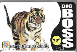 CARTE²-PREPAYEE-7.5€ BIG BOSS-TIGRE-31/12/2005-V° Blanc-Gratté-TBE - Selva