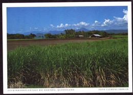 AK 016013 AUSTRALIA - Zuckerrohrplantage Bei Babinda - Autres & Non Classés