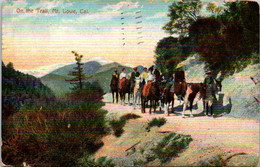 California Mount Lowe Horseback Riders On The Trail 1910 - Santa Barbara