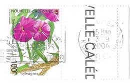 NOUVELLE CALEDONIE NOUMEA 2004, LETTRE ENTIERE FLEUR TURBINA MOPINATA ( TIMBRE DE 2004 ) BORD DE FEUILLE, VOIR SCANNERS - Storia Postale