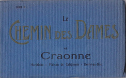 CARNET DE 20 CPA  LE  CHEMIN DES DAMES ET CRAONNE  BERRY AU BAC  CORBENY - 5 - 99 Cartes
