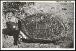 Congo - CP Photo/ Foto BK - Tortue/Zeeschildpad - Plaine Du Lac Edouard - Parc National Albert - Neuve/Ongebruikt ** - Tortues