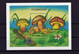 Ghana 1989 - Michel  Block 145  MNH ** - Mushrooms