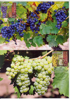 2021 ,  Moldova, Viticulture , Joint Issue Republic Of Moldova-Romania , Grape , Wine Vine Wines , 2 Maxicards - Wijn & Sterke Drank