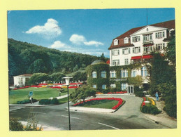 4110 - DUITSLAND - GERMANY - SCHLANGENBAD - Schlangenbad