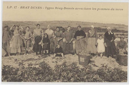 Cpa Bray-Dunes - Types Bray-Dunois Arrachant Les Pommes De Terre  ( S. 8413 ) - Bray-Dunes