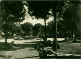 SENIGALLIA - GIARDINI PUBBLICI - EDIZIONE TIP. ADRIATICA - SPEDITA - 1960s  (8548) - Senigallia