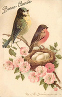 KLEIN Catharina (illustrateur) - Couple D'oiseaux.(carte Vendue En L'état) - Klein, Catharina