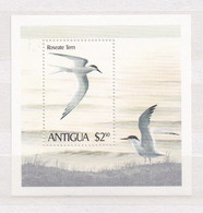 ANTIGUA 1980 BLOC N°51 NEUF** OISEAUX - Antigua Und Barbuda (1981-...)