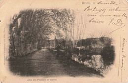 FRANCE-19 CORRÈZE - BRIVE - Allée Des Platanes Et Canal - Brive La Gaillarde