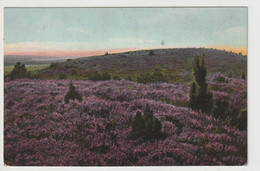 Lüneburger Heide - Lüneburger Heide