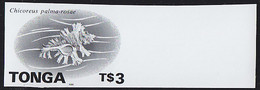 TONGA(1996) Chicoreus Palma-rosae. Monochrome Proof On Card. Scott No 922. - Tonga (1970-...)