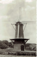 Hulst Stads Molen - Hulst