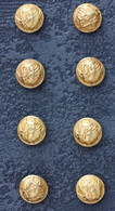 Lot De 8 Petits Boutons D'uniforme "Infanterie De Marine" Fabricant : T. W. & W - Paris (TRELON WELDON & WEILL) - Boutons