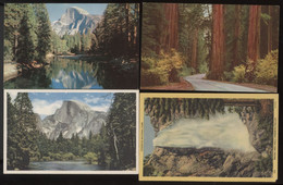 Lot Of 4 Yosemite National Park Vintage Postcards CA California - Yosemite