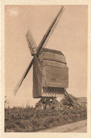 CONDE SUR L'ESCAULT: UN VIEUX MOULIN A VENT - Conde Sur Escaut