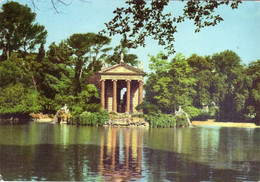 Cartolina ITALIA ROMA Villa Borghese Il Giardino Del Lago Italy Rome Postcard Italien Ansichtskarte Carte Postal - Parchi & Giardini