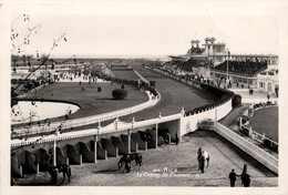 Nice * Le Champ De Courses * Hippodrome Hippisme Course Hippique - Autres & Non Classés