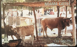 GAMBIE  -   Phonecard  -  GAMTEL  -  SC7  -  NDAMA CATTLE  -  125 Units - Gambie