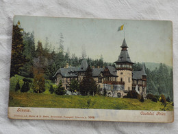 Romania Sinaia Castelul Peles Stamp 1904   A 212 - Rumänien