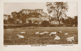 Nottingham Castle -sheep In The Foreground (Valentine XL Series 35341 -on Pale Green Card) - Nottingham