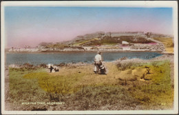 Milking Time, Alderney, 1965 - Birn Brothers RP Postcard - Alderney