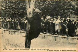 Paris * 5ème * Le Jardin Des Plantes * Martin Gagne La Prime * Ours Bear Animal Animaux - Distrito: 05