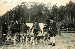 Fontainebleau * Chasse à Courre En Forêt * Vénerie * Un Relais * Meute De Chiens - Fontainebleau