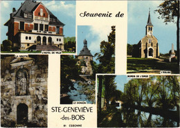 CPM St-Genevieve-des-Bois 5828 (20557) - Saclay