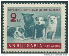 1299 Bulgaria 1961 Airmail > Soviet Cosmonaut - Dogs. - Cosmonaut Dog Strelka, Chernushka, Zwezdotschka And Belka - Airmail