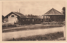 BREUCHES  70  HAUTE SAONE  CPA SEPIA  LE TRAIN EN GARE - Altri & Non Classificati