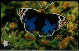 OMAN 1998 PHONECARD BUTTERFLIES USED VF!! - Mariposas