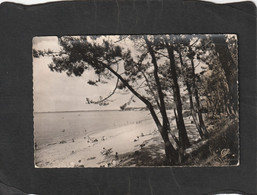 Delcampe - 106665           Francia,  Ronce-les-Bains,  Sous-Bois  Et La  Plage,  VGSB - La Tremblade