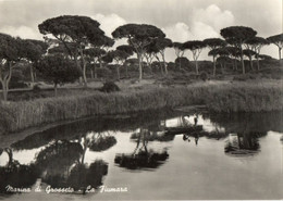 MARINA DI GROSSETO - LA FIUMARA - VERA FOTO - F.G. - Grosseto