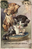 Little Pitche - Cpa Illustrateur - Chat Chats - «  Mon Cher Vous N’êtes Pas Sérieux  » - Cat Katze - Other & Unclassified