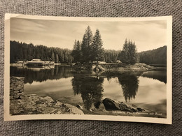 Flims Caumasee Waldhaus Waldhäuser Mit Insel - Flims