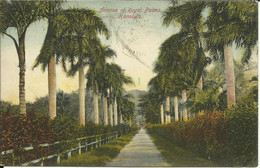 Avenue Of Royal Palms , Honolulu , 1908 - Honolulu