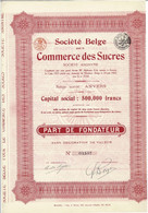 Titre Ancien  - Société Belge Pour Le Commerce Des Sucres - Titre De 1923 - - Industry