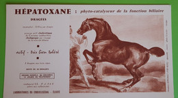 Buvard 368 - Laboratoire - HEPATOXANE - Cheval Louvre - Etat D'usage : Voir Photos - 21x12 Cm Environ - Vers 1960 - Produits Pharmaceutiques