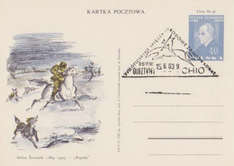 Poland Postmark D69.06.15 Ols: OLSZTYN Sport Equestrian Games Horse CHIO - Interi Postali