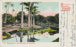 1906  Honolulu   " Moanalua  In The Suburds "  ( Pour  Ménil Flin  France  ) - Honolulu