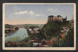 Postcard Leisnig On The Freiburg Mulde,Village, River Section, Mildenstein Castle, VF Posted ,Used - Leisnig