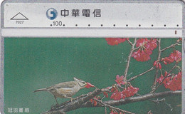 TAIWAN - Bird, Chunghwa Telecard(7027), CN : 737D, Used - Non Classificati