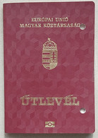 Hungary Biometric Passport Reisepass Judaica Visa Israel 2011-16 - Historical Documents