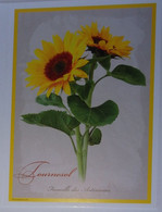 Petit Calendrier Poche 2018 Fleur Tournesol -  Pharmacie St Etienne Loire - Small : 2001-...